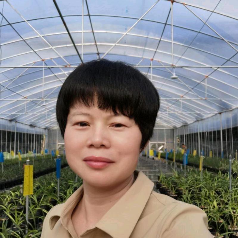 阿芳兰花