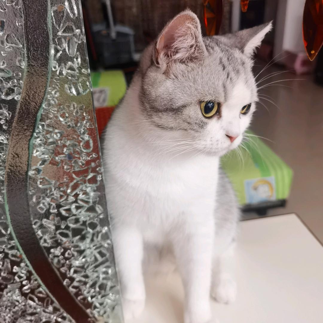 Ella