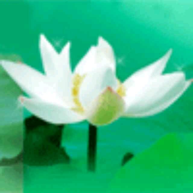 濛濛细雨“