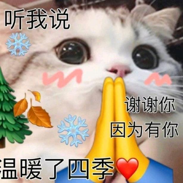 jdjdks