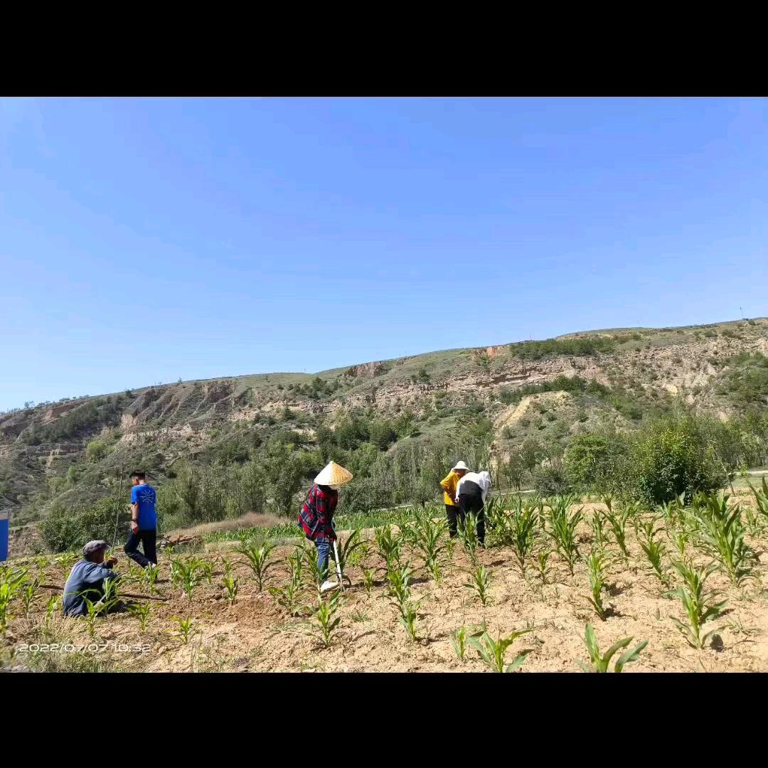 小明的同学