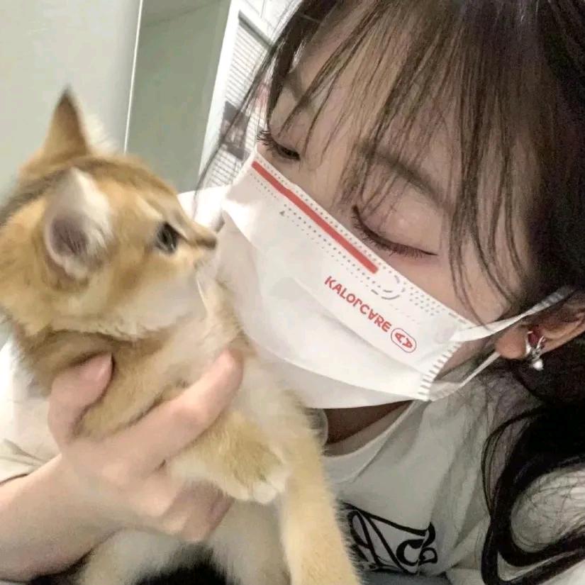 困了zzz