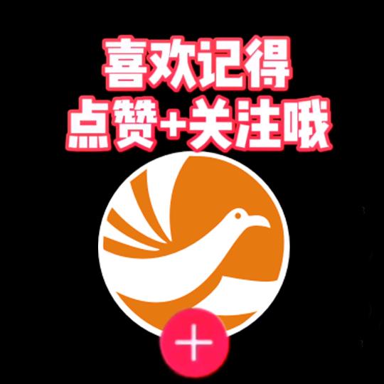 武汉创业晓鸟
