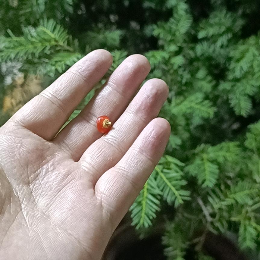 正润装饰