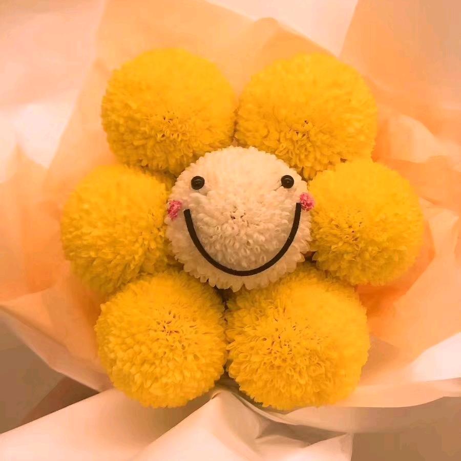 查宝怀中的加菲猫*