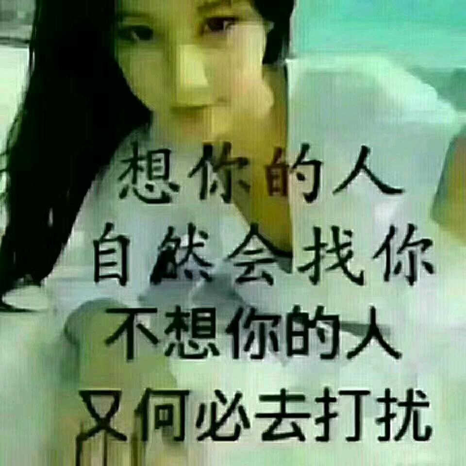 小琪琪
