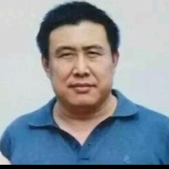 退役老虎