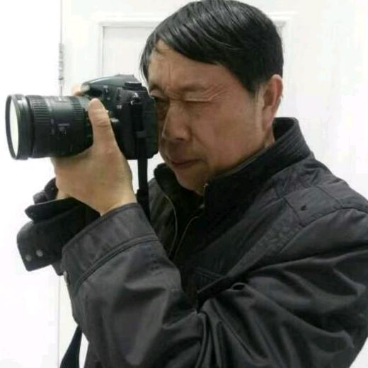 用户顾华琪