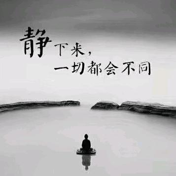 莲花芯
