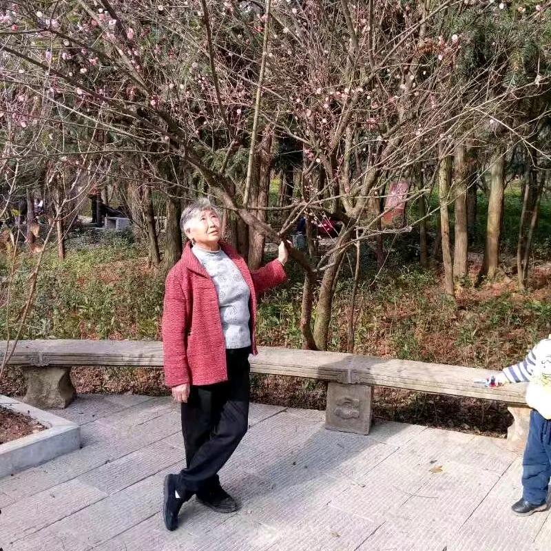 芬孃
