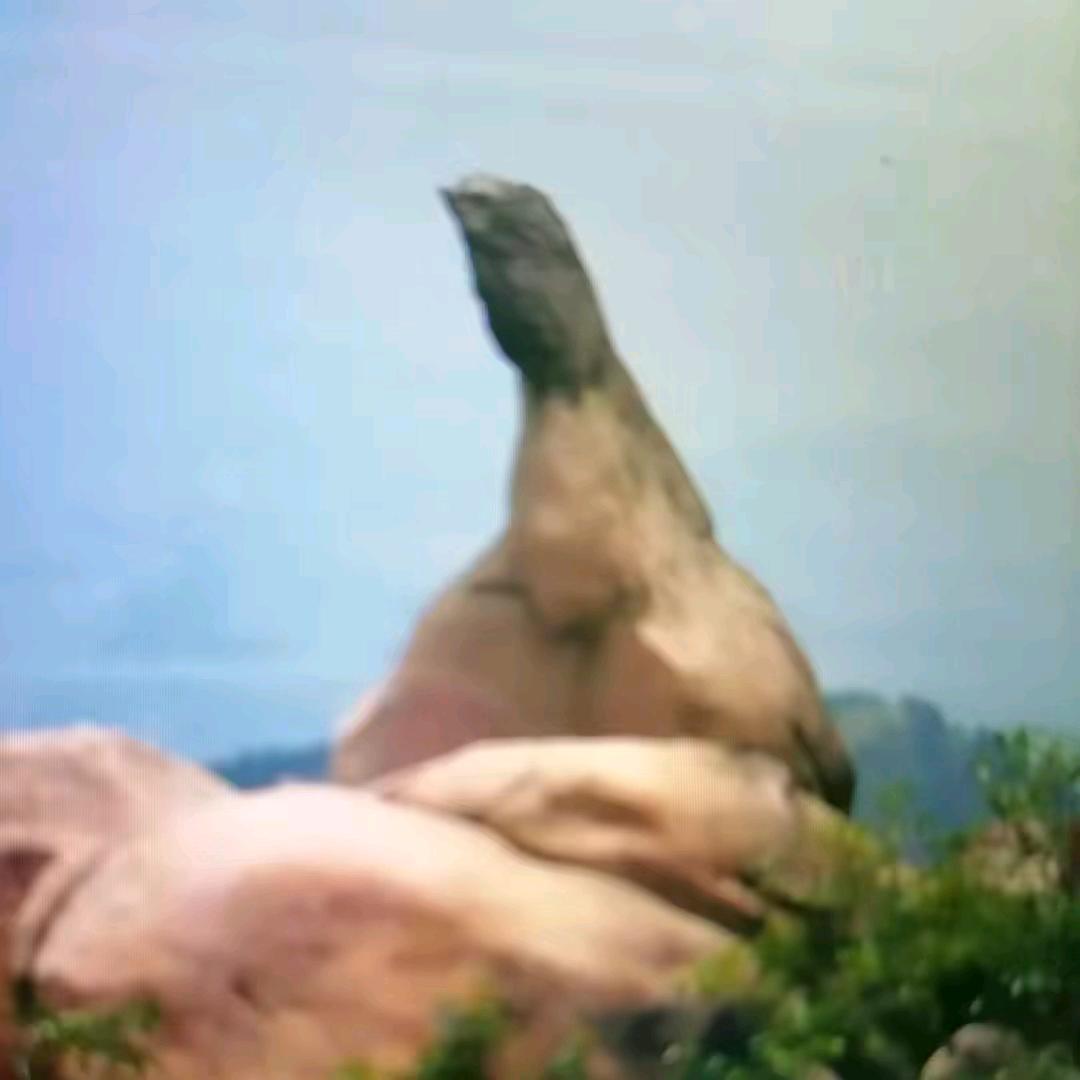 春晓制刷