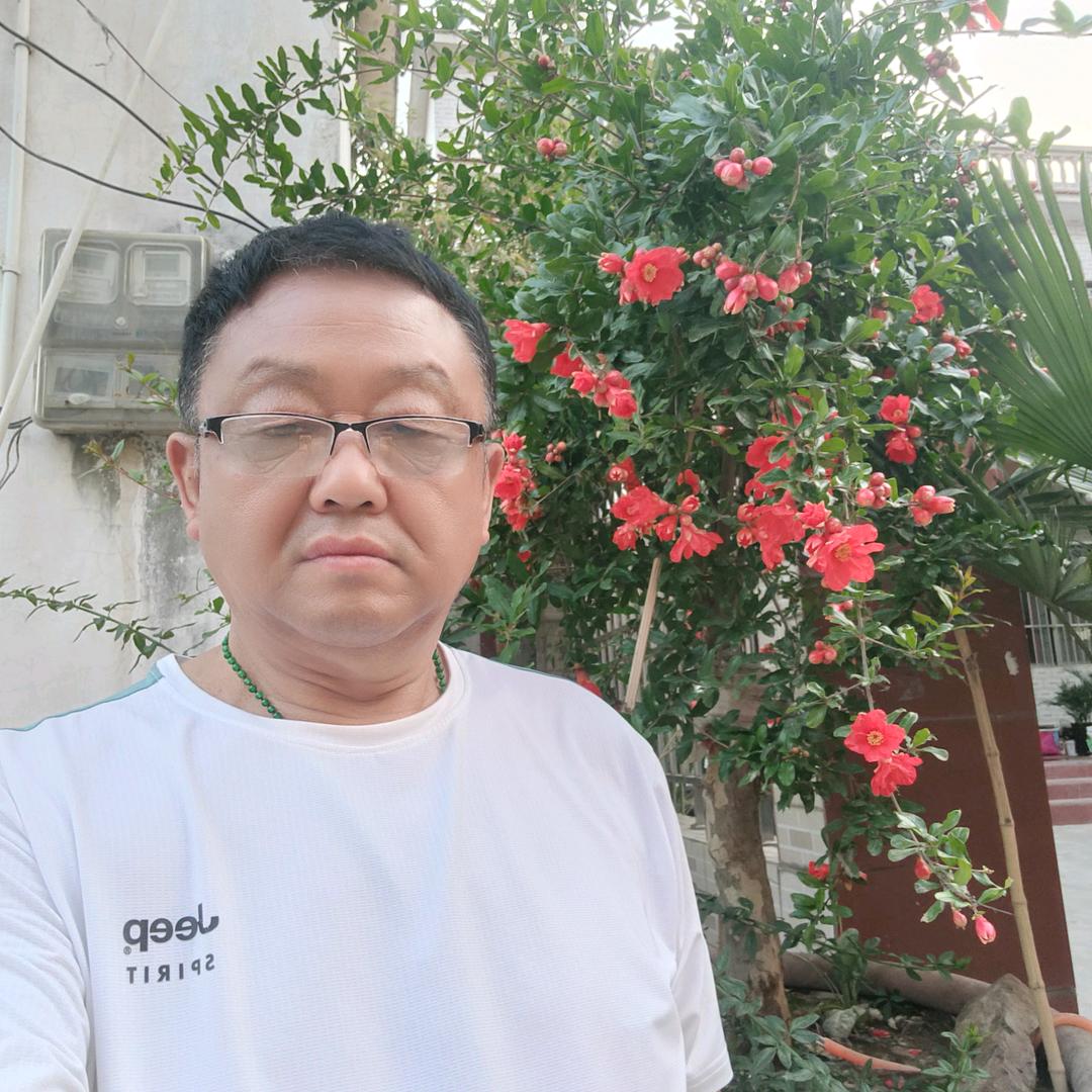 我是狼