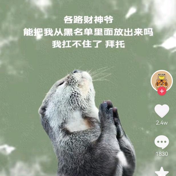 完美饰界