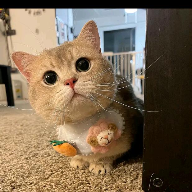 简