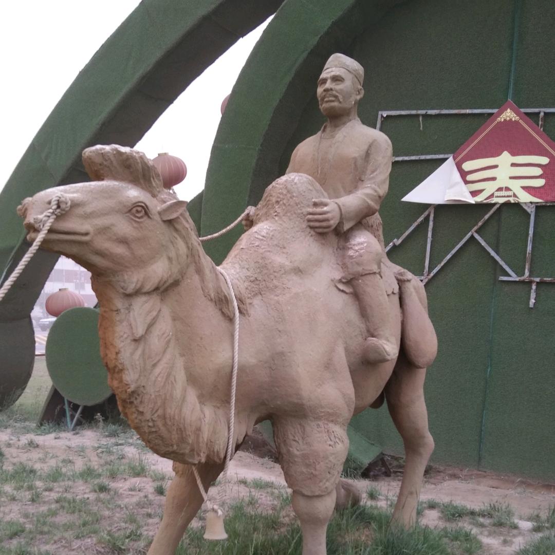 老骆驼游全国
