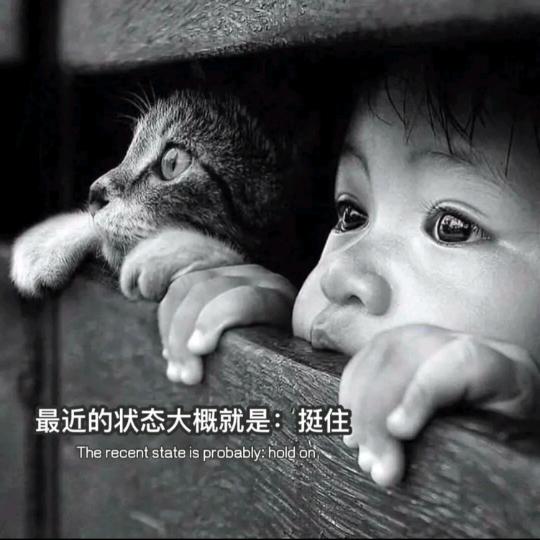 哇塞！