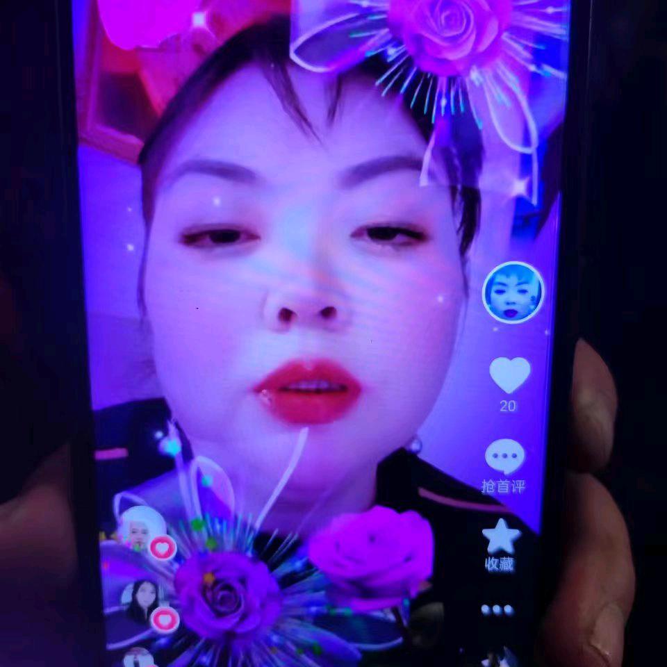 浙江玫瑰