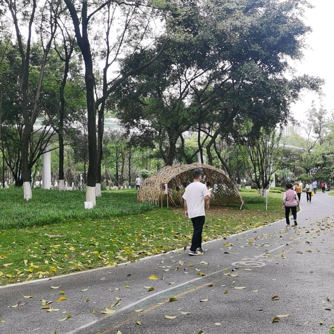 沙漠绿洲