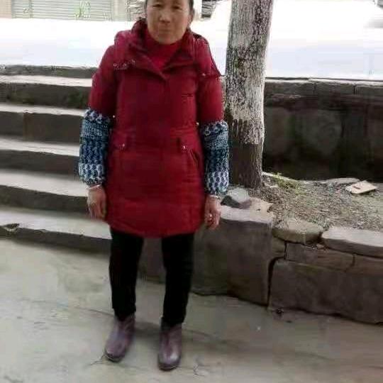 逗