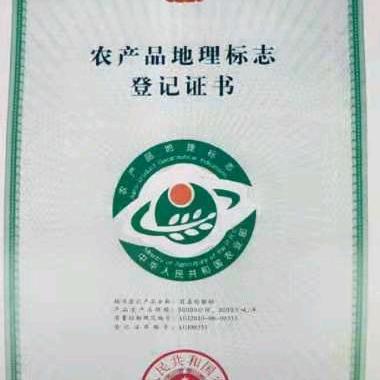 凉风有信，秋月无边