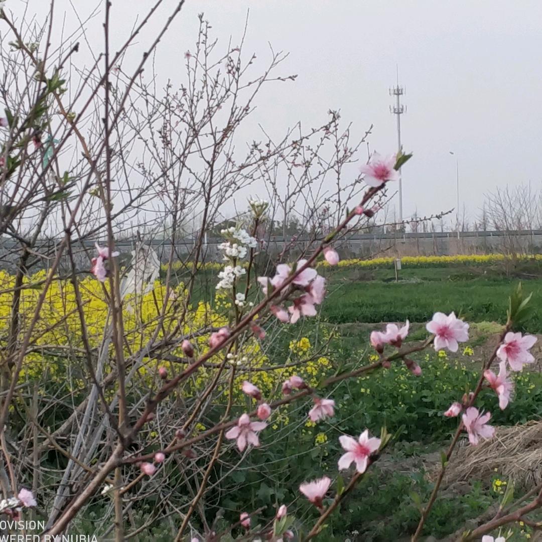 小太阳