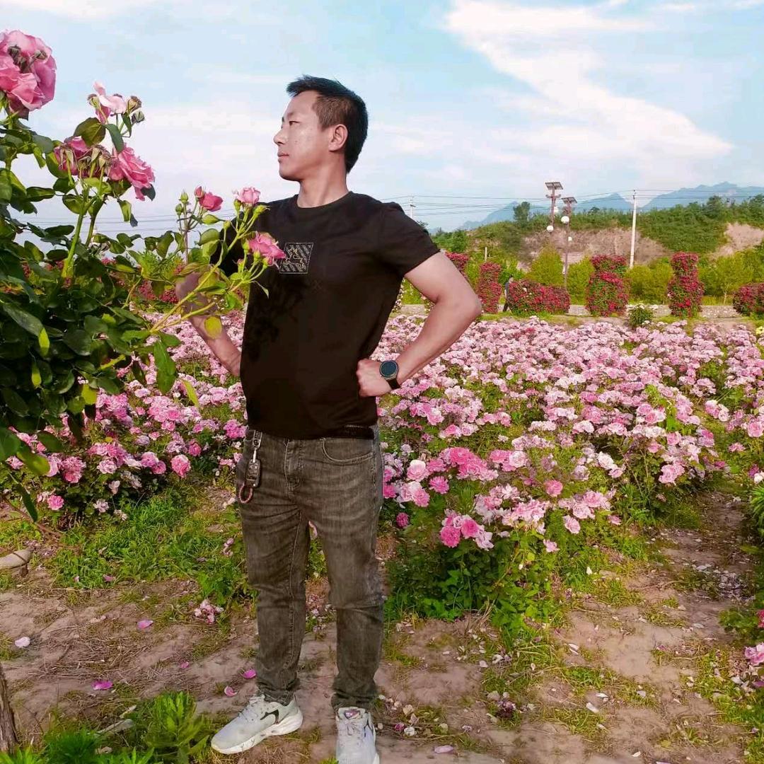 《爱在旅途》