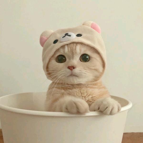 路人