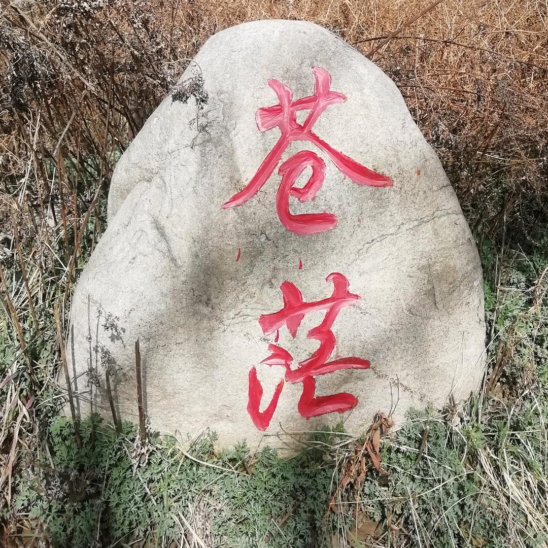 楼主