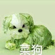 对星星心动了吖