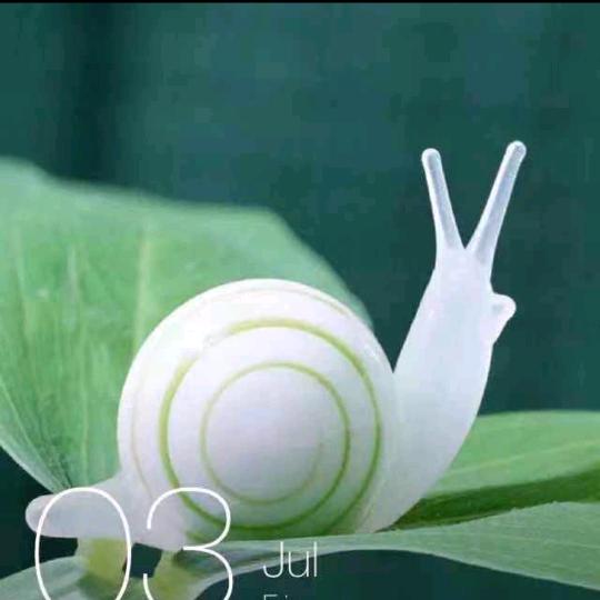 啊秀