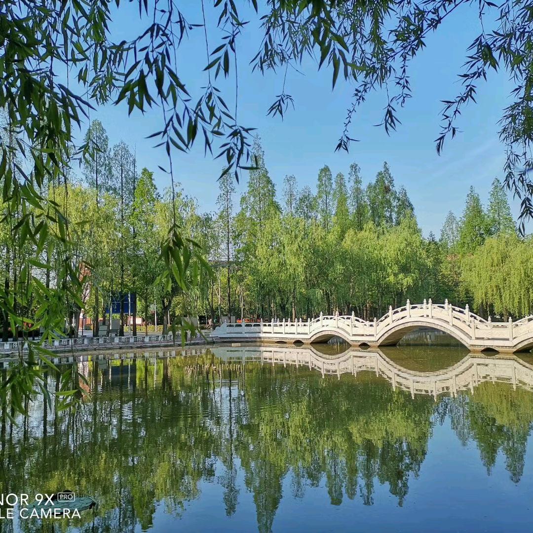 高中段老师