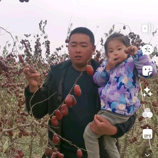 新疆红枣哥