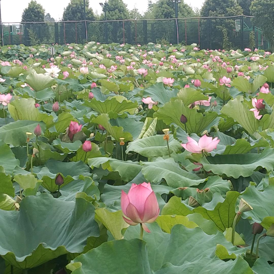 徐正辉