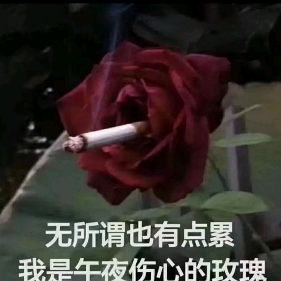 泥等着寿司吧