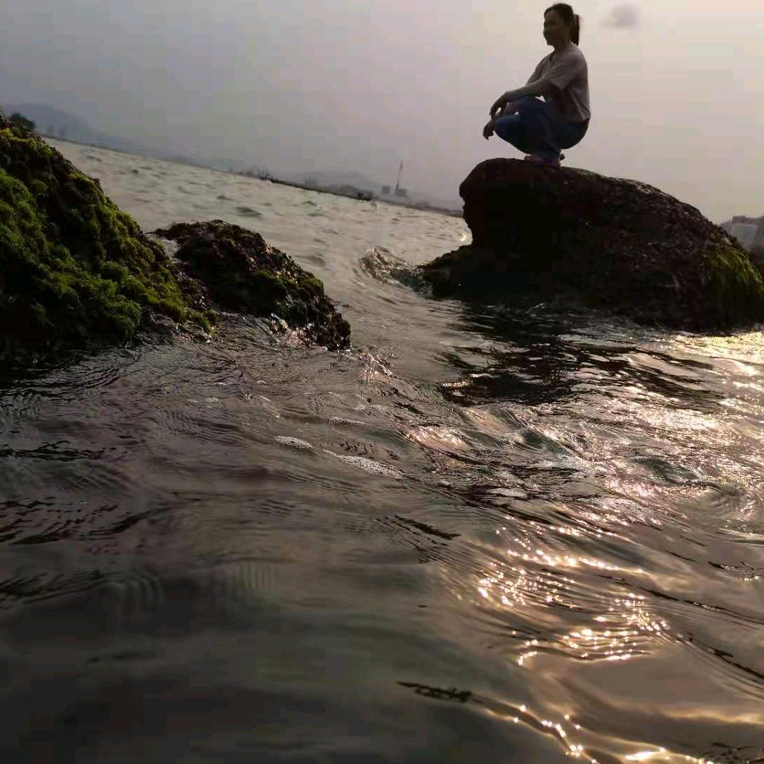 ʢ>🐽时<ʡヾ(❀╹光◡╹)ﾉ~谢