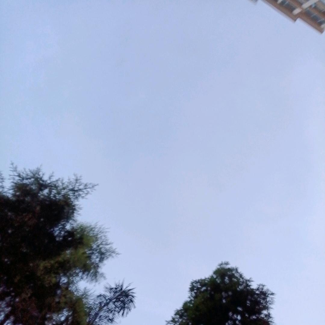 老李的蓝色海洋