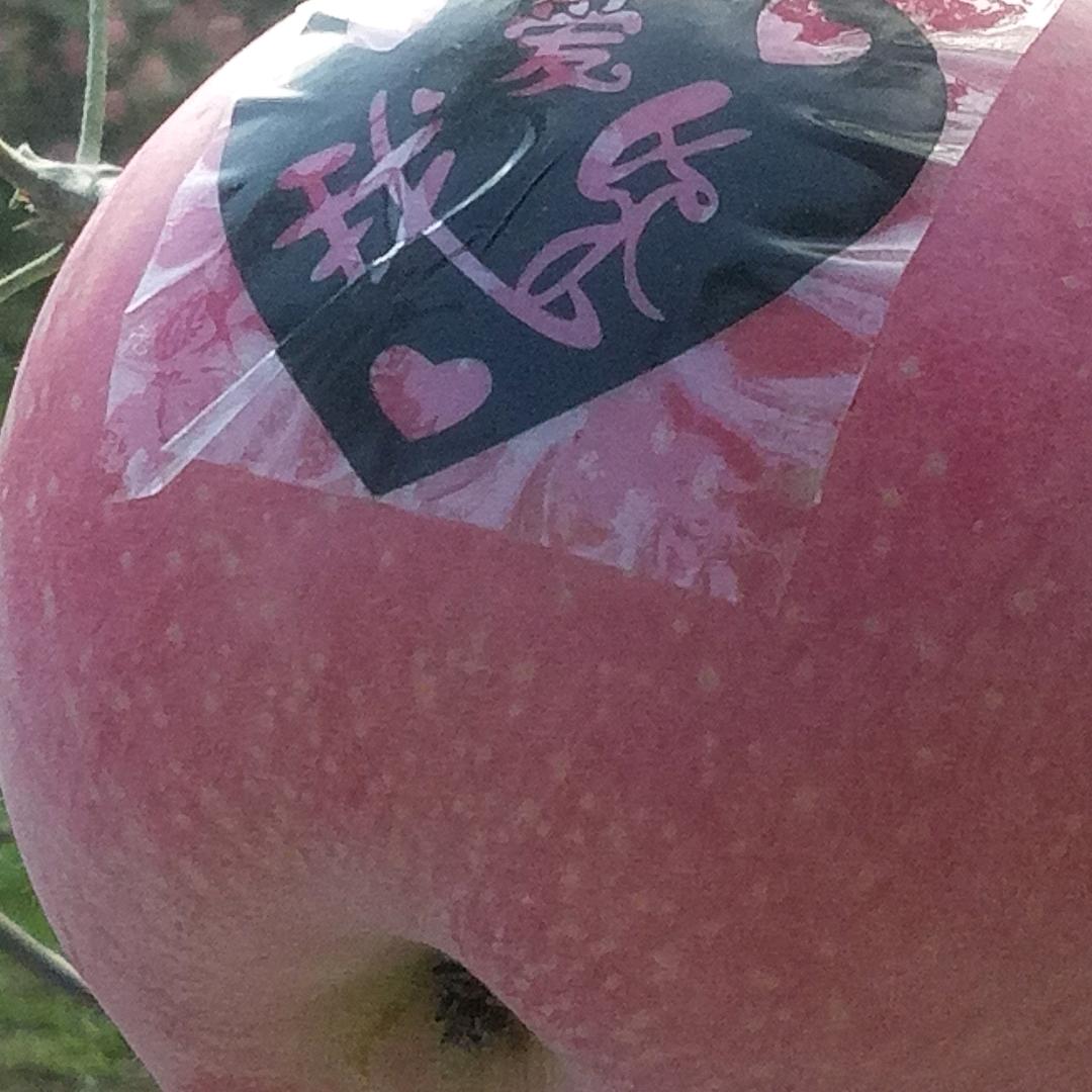 回家