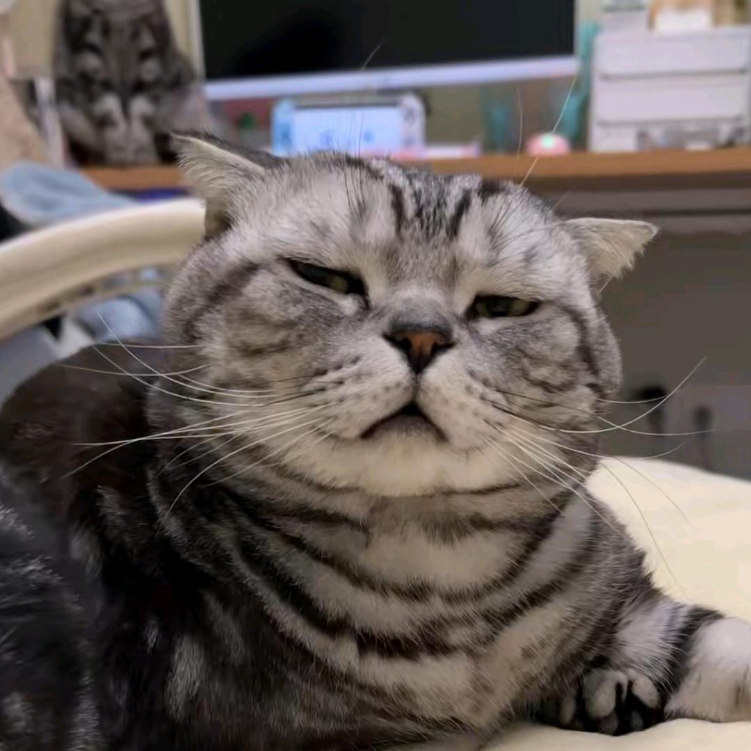 神评博物馆