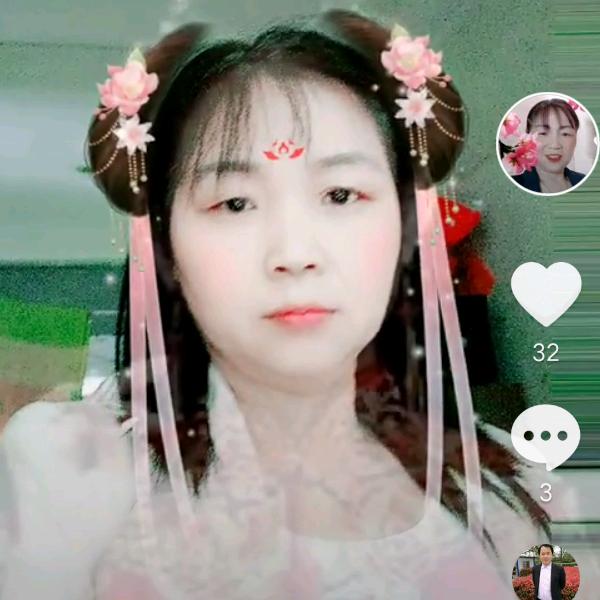 菊