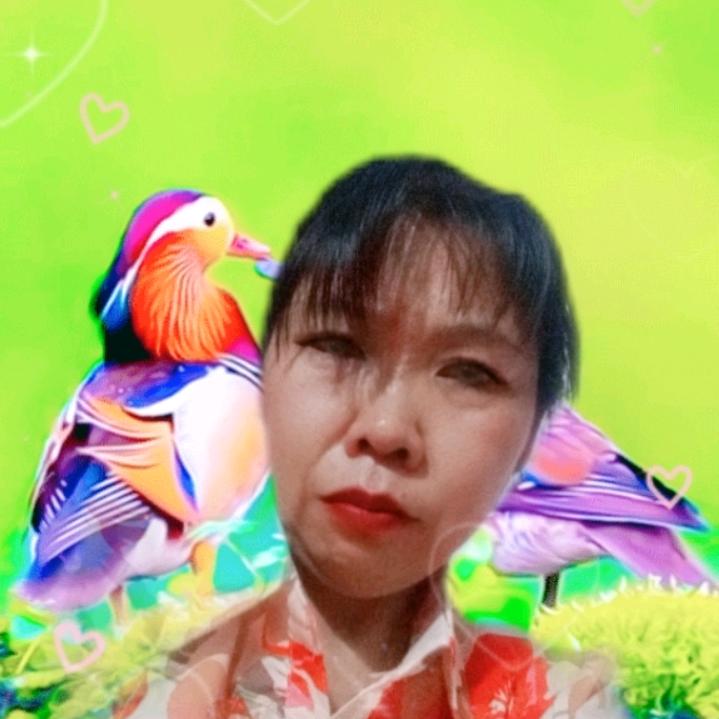 一往情深