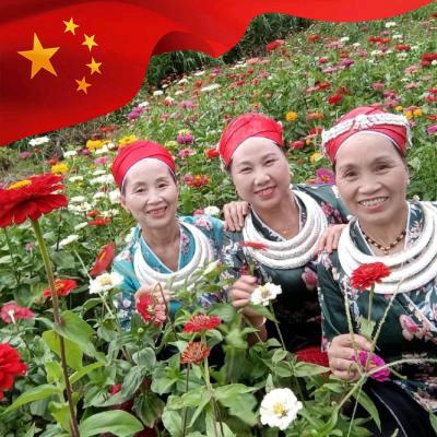 王姐