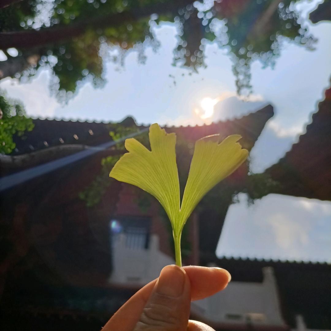 圈圈圈圈圈
