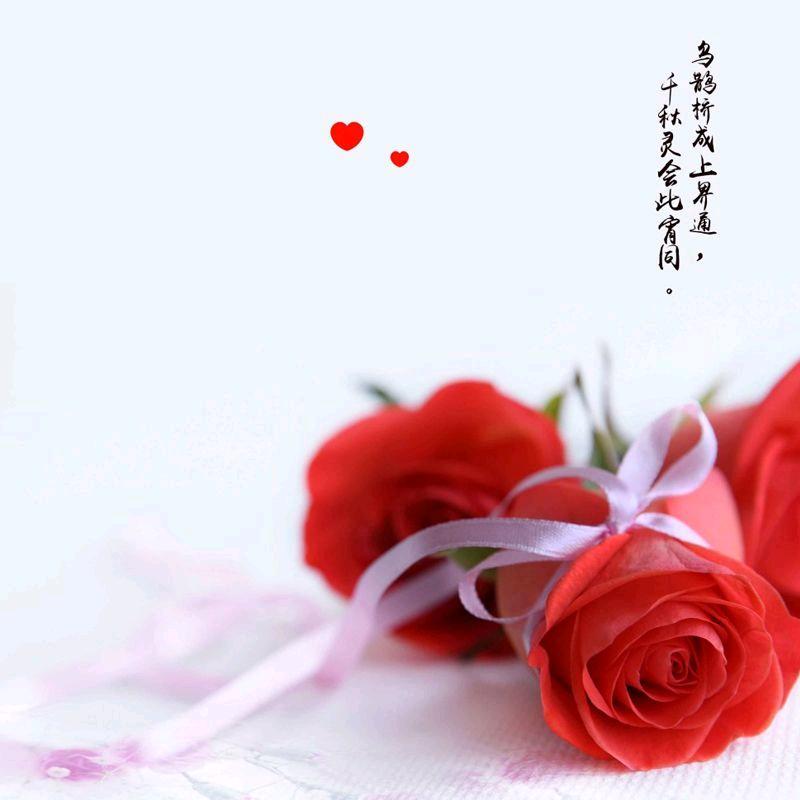 小染设计头像（收徒弟）