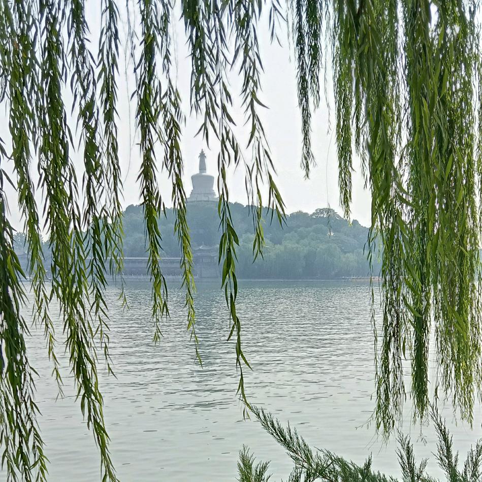 青春无悔@72年的*^O^*鼠*^O^*