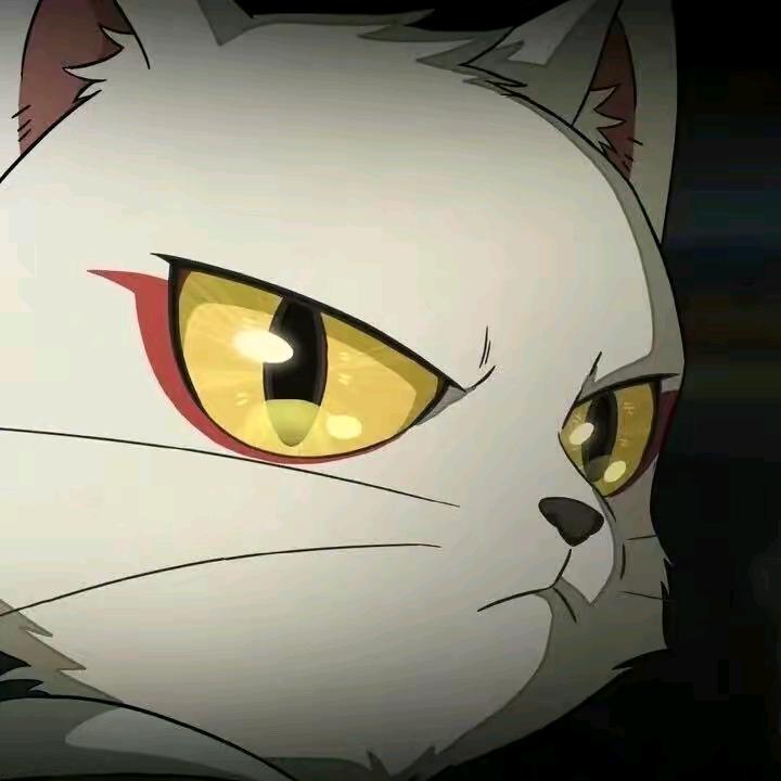 喜欢里面有惊喜