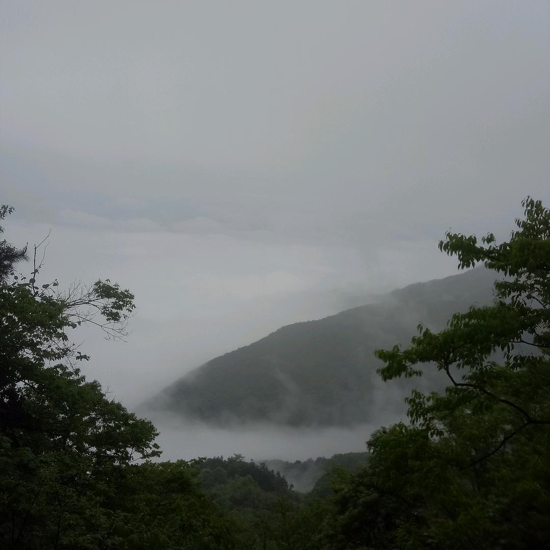 柳暗花明又一村