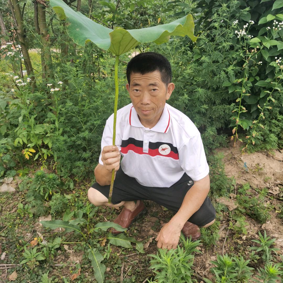 敏哥