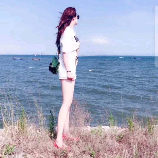 梦苏