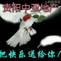贵阳中亚地产