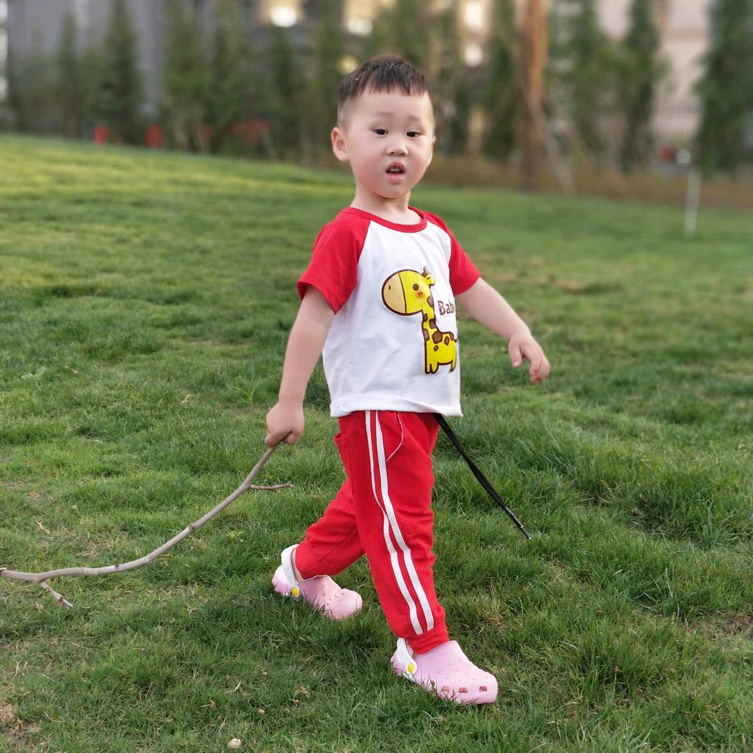 金苹果